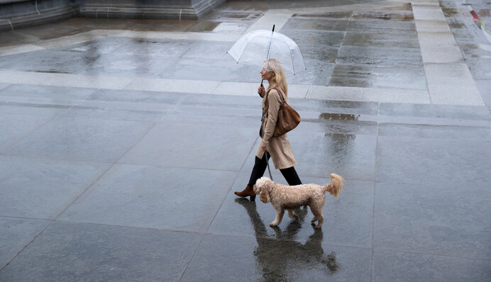 В Україні у багатьох областях пройдуть дощі з грозами: прогноз на вихідні
