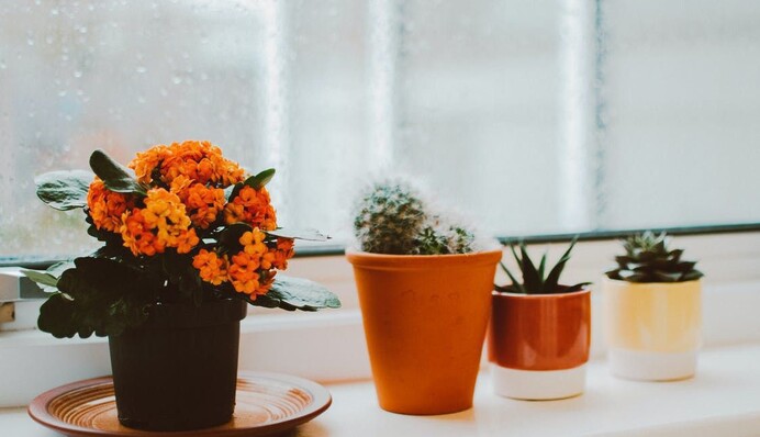 Ее допускают почти все: ошибка, 