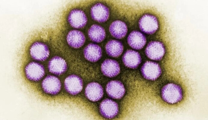 Найдены самые древние человеческие вирусы: существовали 50 тысяч лет назад