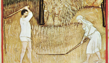 Древние греки пользовались молотилкой еще 8,5 тысяч лет назад: поразительное открытие ученых