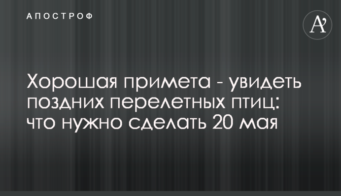 Хорошая примета - увидеть поздних перелетных птиц: что нужно сделать 20 мая