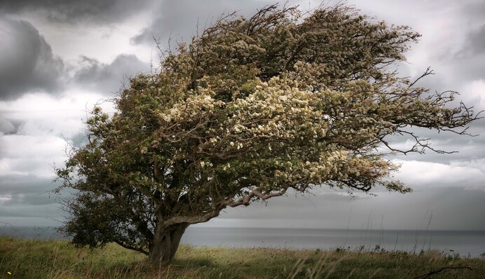 Столб пыли и мусора: Киев накрыло аномальное явление