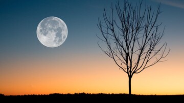 Квіткова повня 23 травня: що треба зробити, щоб залучити удачу і багатство