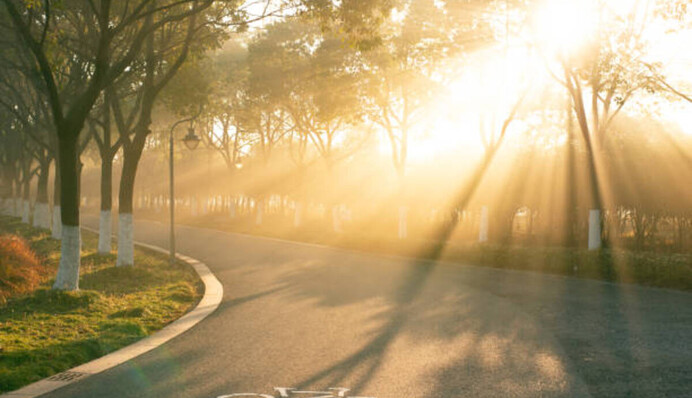 Заморозков уже точно не будет: в Укргидрометцентре рассказали о погоде до конца мая