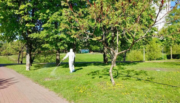 Столичні парки атакують кліщі: киян закликали дотримуватися правил безпеки