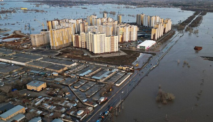 Природа подает знаки: провидица назвала год окончания войны в Украине