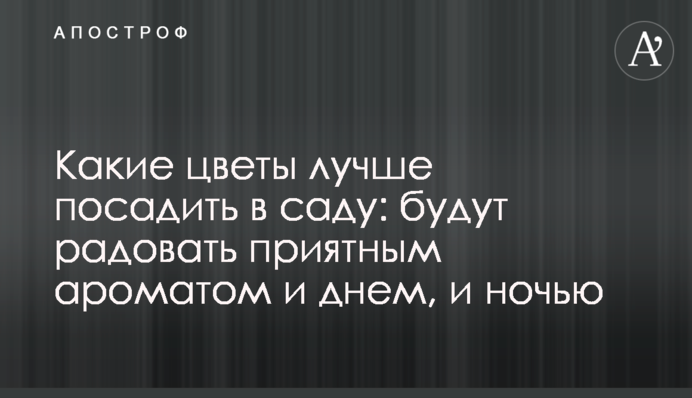 Які квіти краще посадити в саду: будуть тішити приємним ароматом і вдень, і вночі