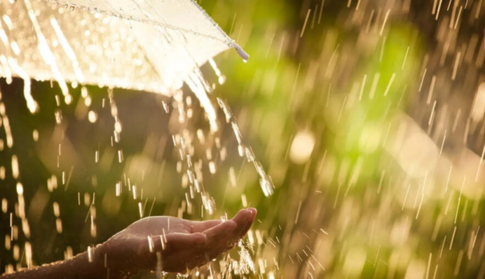 Украину накроют настоящие майские ливни: синоптик назвала дату