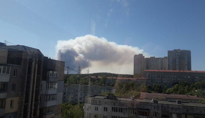 Мчать пожежні з усього міста: біля Києва спалахнула масштабна лісова пожежа. Фото і відео