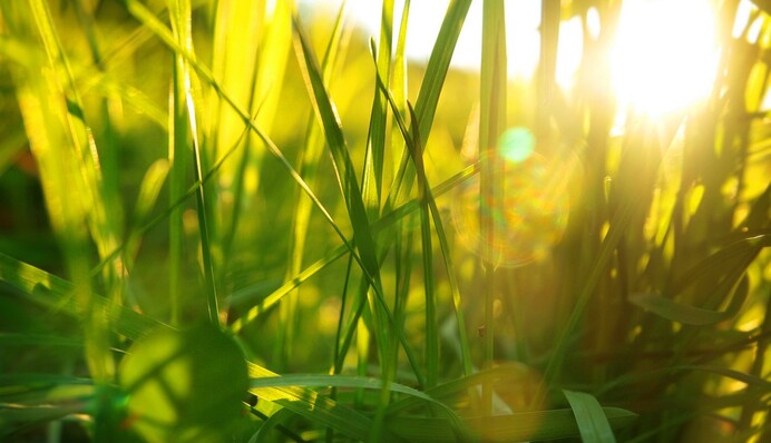 Настоящего тепла не ждать? Прогноз на лето-2024 от народного синоптика