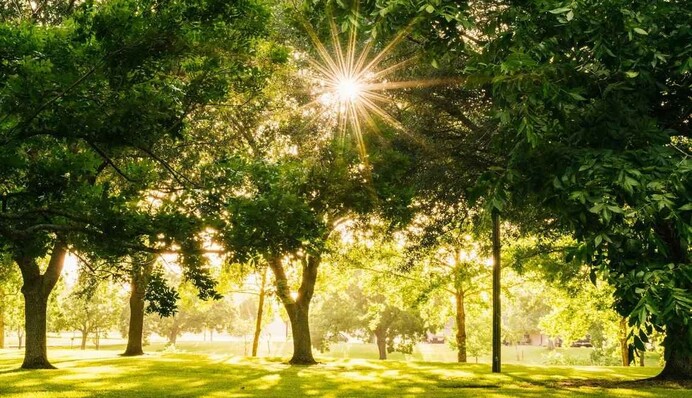 ​Погода удивит интересным контрастом: прогноз на понедельник от Наталки Диденко