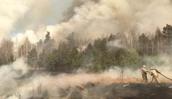 ​Під Києвом спалахнула масштабна пожежа: відео і подробиці