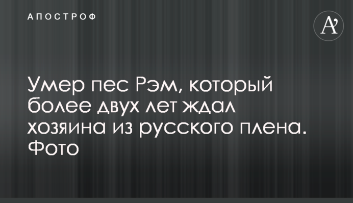 Помер пес Рем, який понад два роки чекав господаря з російського полону. Фото