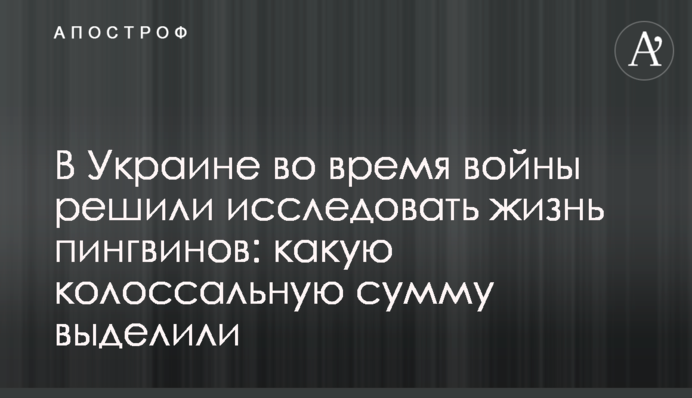 В Украине во время войны решили исследовать жизнь пингвинов: какую колоссальную сумму выделили