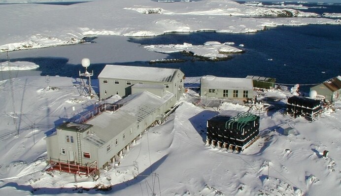 Кошти не для армії: полярники відреагували на закиди щодо дослідження пінгвінів