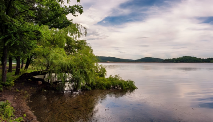 Ромео в плавках: прикордонники затримали молдованина, який поспішав на побачення через Дністер