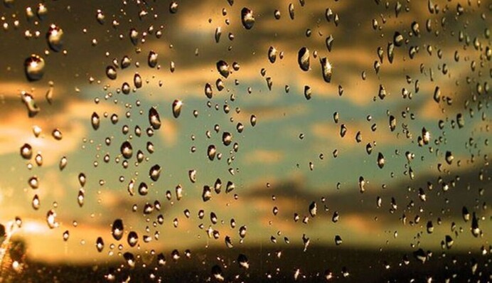 Дожди и грозы до сих пор бродят по Украине: где будет дождливо в четверг