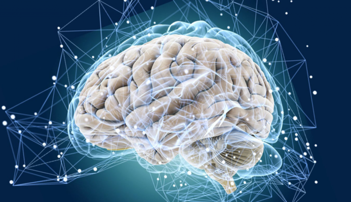 Тест на внимательность: найдите три скрытых номера за 6 секунд