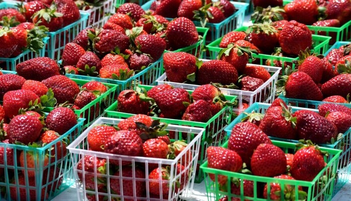 Разница - в несколько раз: какие сейчас цены на клубнику в Украине