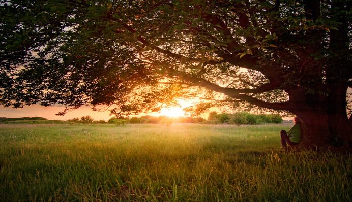 Календар свят та вихідних у червні: скільки українці відпочиватимуть