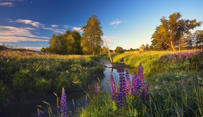 Приберіться у цей день у хаті: яке свято 1 червня і що заборонено робити