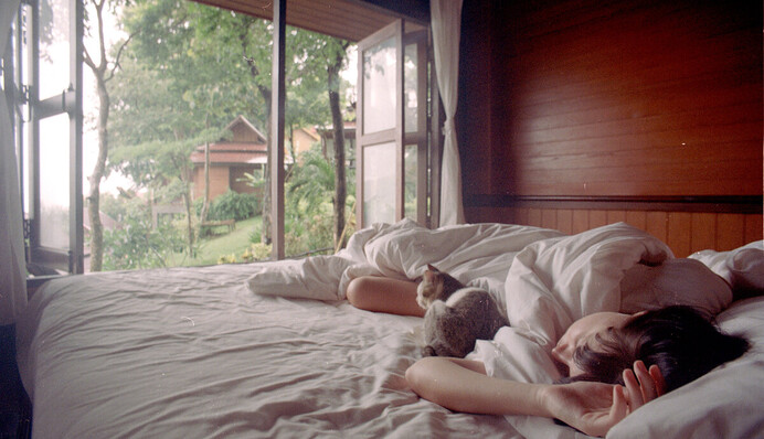 Можете не боятися комах: поради зі сну влітку з відкритим вікном