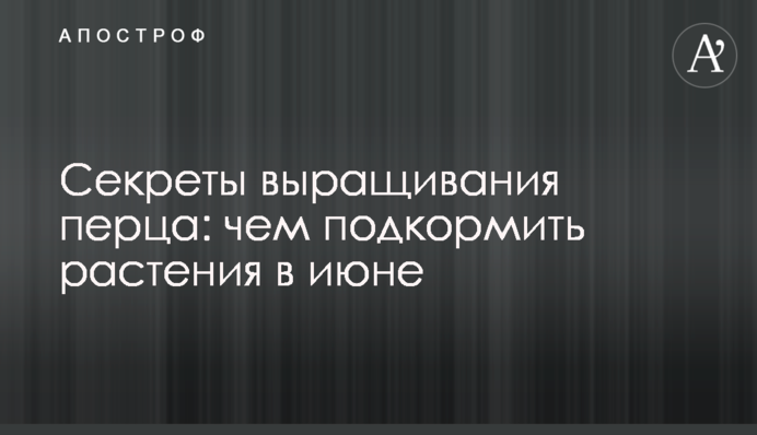 Секрети вирощування перцю: чим підживити рослини у червні