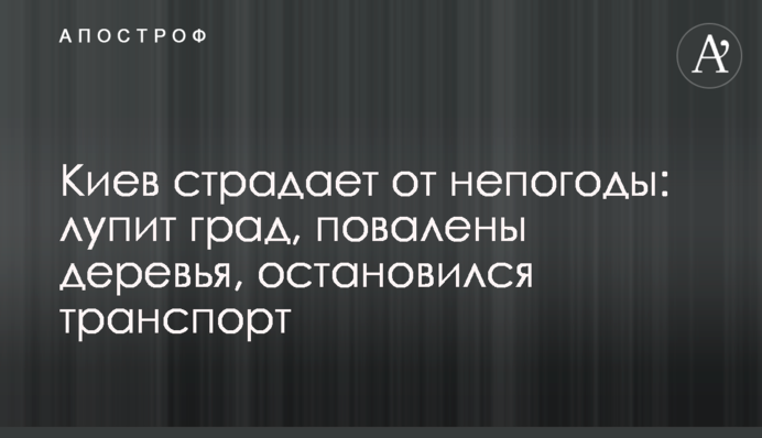 Киев страдает от непогоды: лупит град, повалены деревья, остановился транспорт