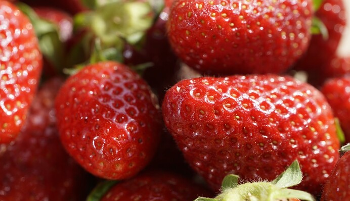 Клубника будет лежать неделю и не будет портиться: как правильно хранить ягоду