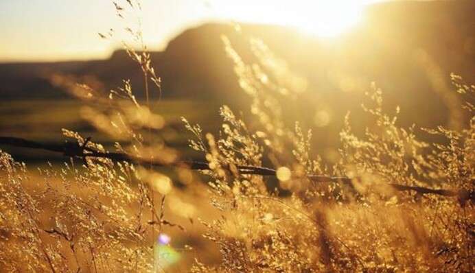 В Украину идет жара: где будет +32, а где будут греметь грозы