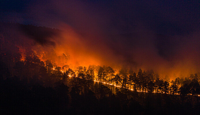 Відплата за війну: в Росії вирують потужні лісові пожежі. Фото суцільної стіни вогню