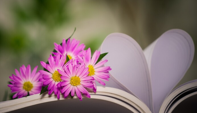 Не употребляйте суржик: как сказать на украинском 