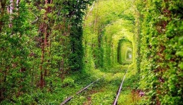 Знаменитый Тоннель любви и янтарные рудники: что надо увидеть в Ровенской области туристу