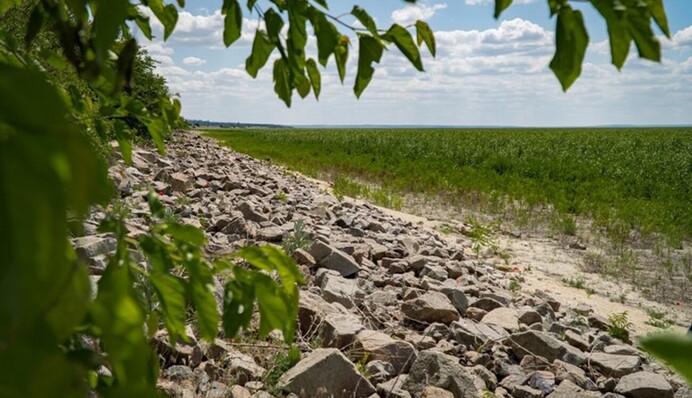 Каховське водосховище перетворюється у ліс: як воно виглядає через рік після підриву ГЕС