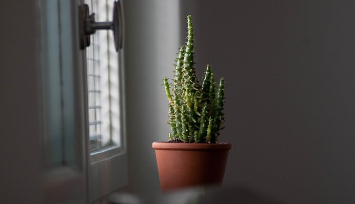 Принесут одни несчастья: вещи, от которых нужно избавиться в доме