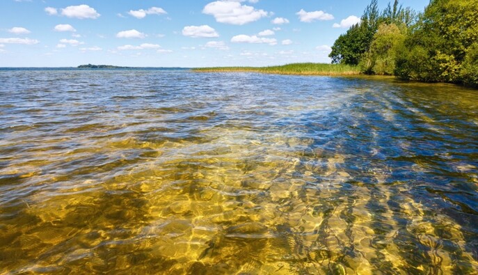 Сколько сейчас стоит отдохнуть на Шацких озерах: цены и отзывы туристов