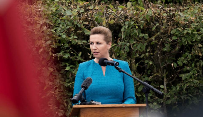 Нападение на премьера Дании: как наказали преступника