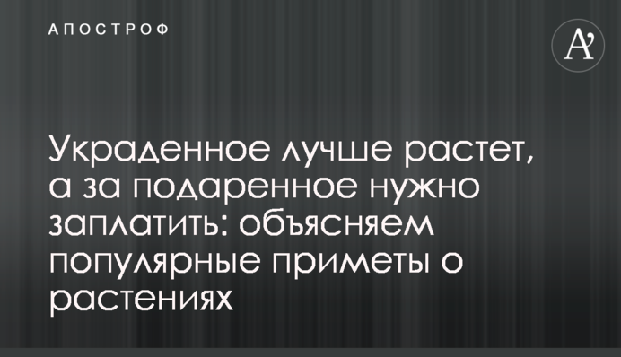 Вкрадене краще росте, а за подароване треба заплатити: пояснюємо популярні прикмети про рослини