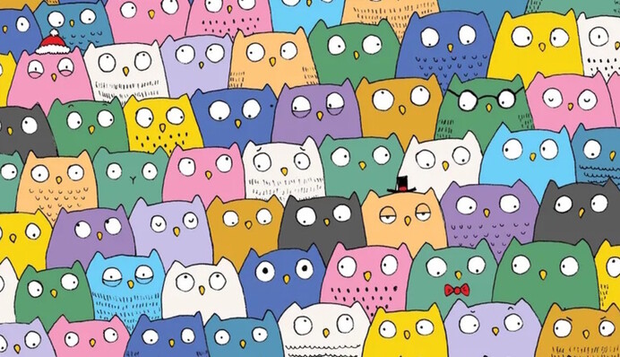 Как найти среди сов котика: коварный тест на смекалку