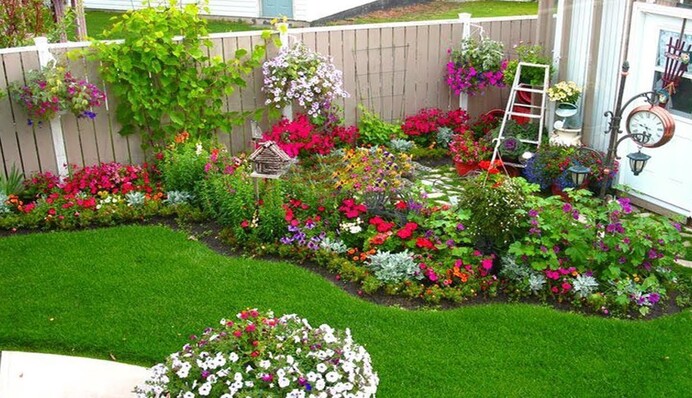 Розмножуються самосівом: які квіти посадити на дачі, щоб не мати клопоту