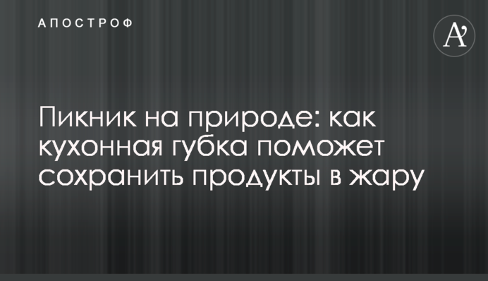 Пикник на природе: как кухонная губка поможет сохранить продукты в жару