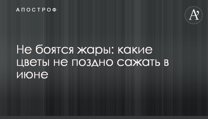 Не бояться спеки: які квіти не пізно садити у червні