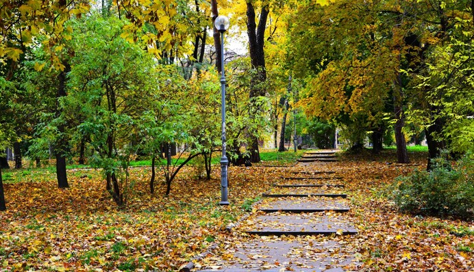 Коли дерева ще були маленькими: в мережі згадали архівне фото парку біля 