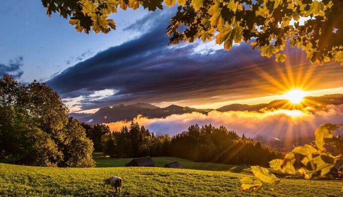 Украину ожидают температурные качели: когда и где после 30-градусной жары резко похолодает