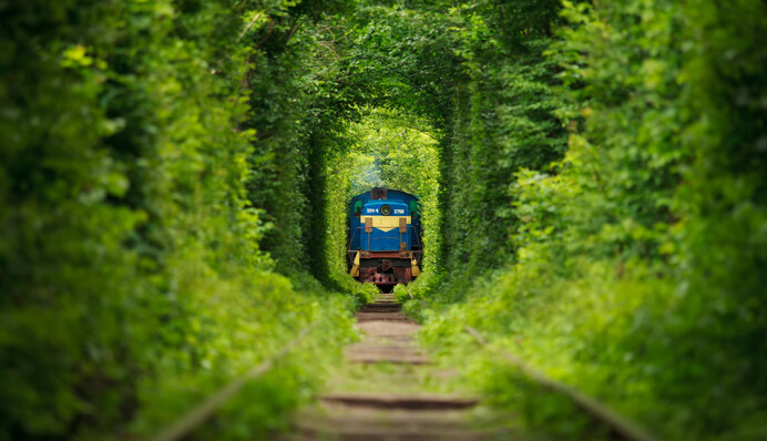 Блакитна лагуна та тунель кохання: куди можна поїхати у вихідні на Рівненщині