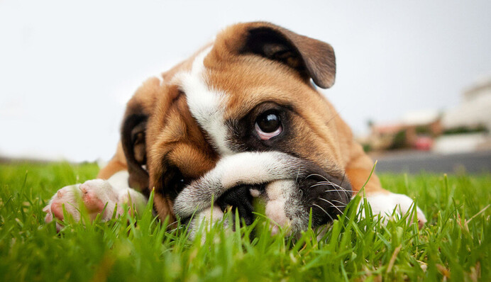 Дощі з грозами триватимуть: прогноз погоди в Україні у найближчі дні