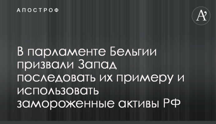В парламенте Бельгии призвали Запад последовать их примеру и использовать замороженные активы РФ