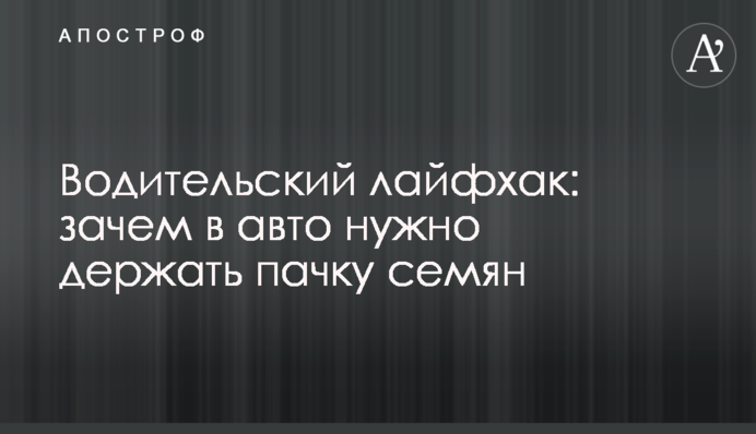 Водительский лайфхак: зачем в авто нужно держать пачку семян