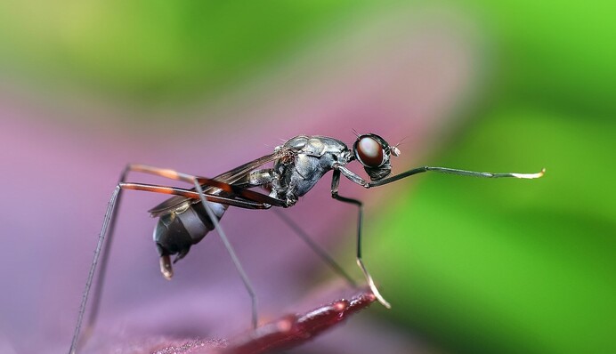 Как найти среди бутылок муравья: следует быть внимательными к деталям