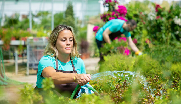 Когда можно и нельзя работать в огороде: календарь работ на вторую половину июня